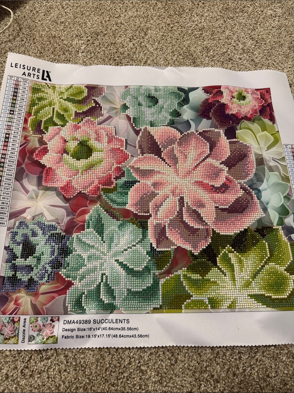 Leisure Arts Succulents Diamond Art Canvas - Pink & Green